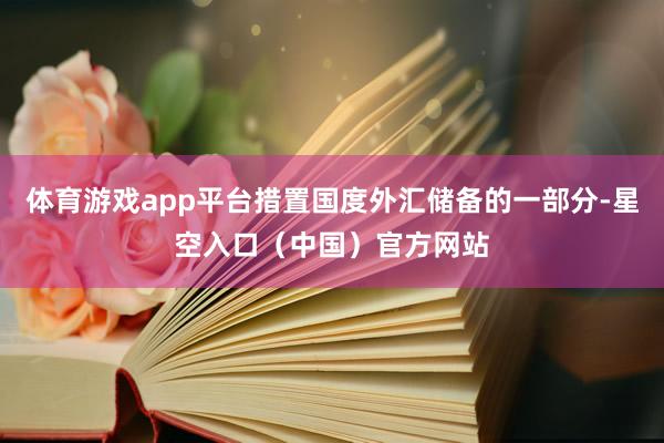 体育游戏app平台措置国度外汇储备的一部分-星空入口（中国）官方网站